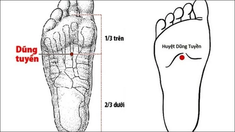 Vị trí huyệt Dũng Tuyền